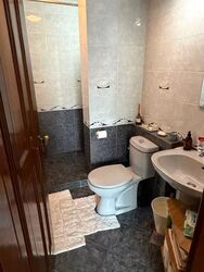 Spring Grove (D10), Condominium #563432511
